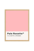 Doğal Ahşap Çerçeveli Retro Tablo - Pastel Pembe Rosette Desenli Tablo | huhu2093