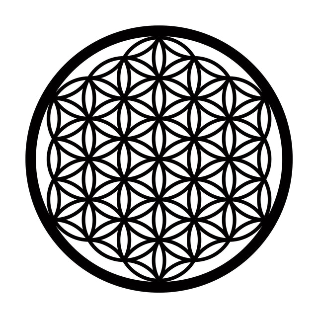 Hayat Çiçeği Metal Duvar Panosu - Siyah