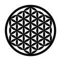 Hayat Çiçeği Metal Duvar Panosu - Siyah