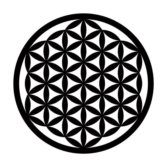 Hayat Çiçeği Metal Duvar Panosu - Siyah