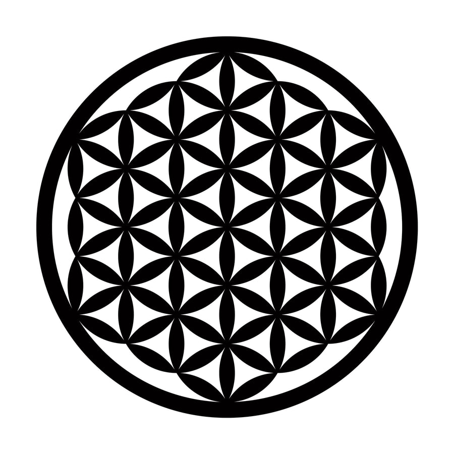 Hayat Çiçeği Metal Duvar Panosu - Siyah