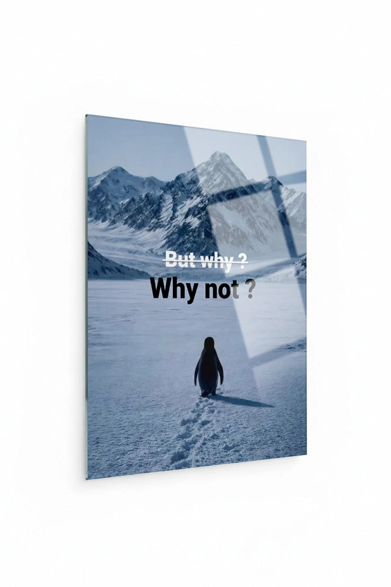 Nihilist Penguen “But Why?” | Kişiye Özel Motivasyon Cam Tablo