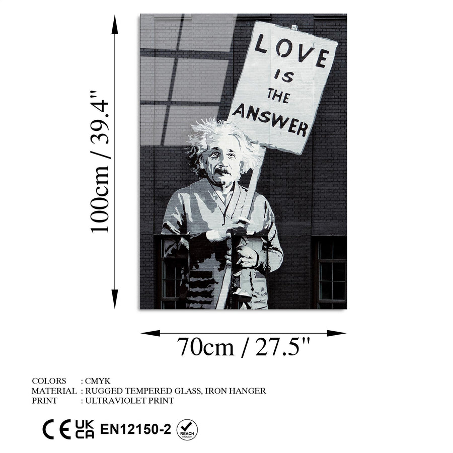 Einstein Love Is The Answer Cam Tablo - Siyah