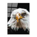 Kartal Portre Doga Cam Tablo - Beyaz