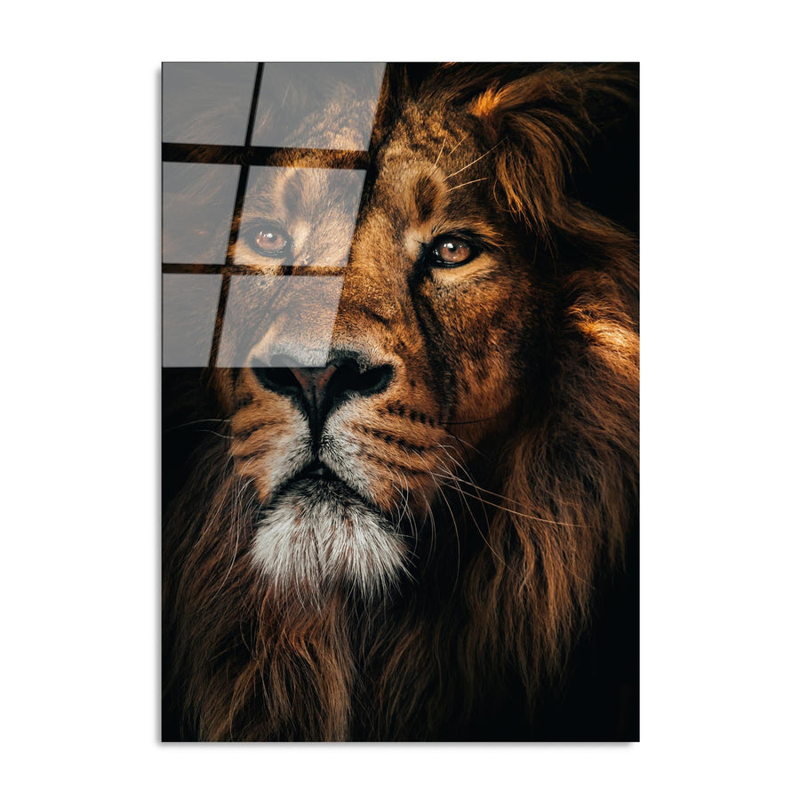 Aslan Portre Fotograf Cam Tablo - Kahve