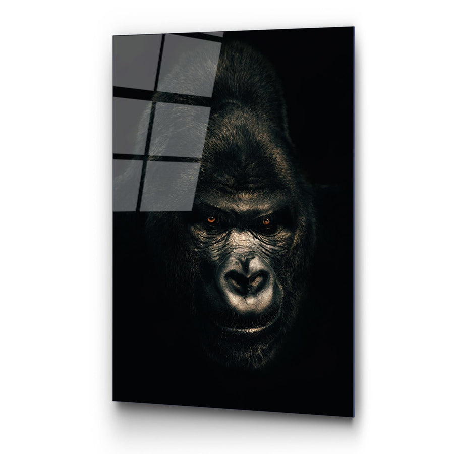 Gorilla Karanlik Portre Cam Tablo - Siyah