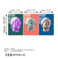 Heykel Pop-Art Set Cam Tablo - Cok-renkli
