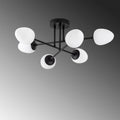 Camlı 6'lı Plafonyer Modern - Siyah