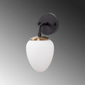 Camlı Oval Tekli Metal Aplik - Siyah
