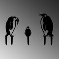 Penguen Ailesi Metal Bahçe Dekoru - Siyah