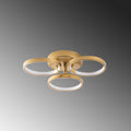 Halka Modern LED Plafonyer - Altın