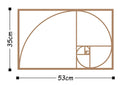Fibonacci Spiral Metal Duvar Panosu - Bakir