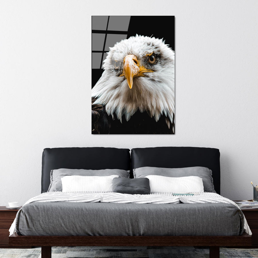 Kartal Portre Doga Cam Tablo - Beyaz