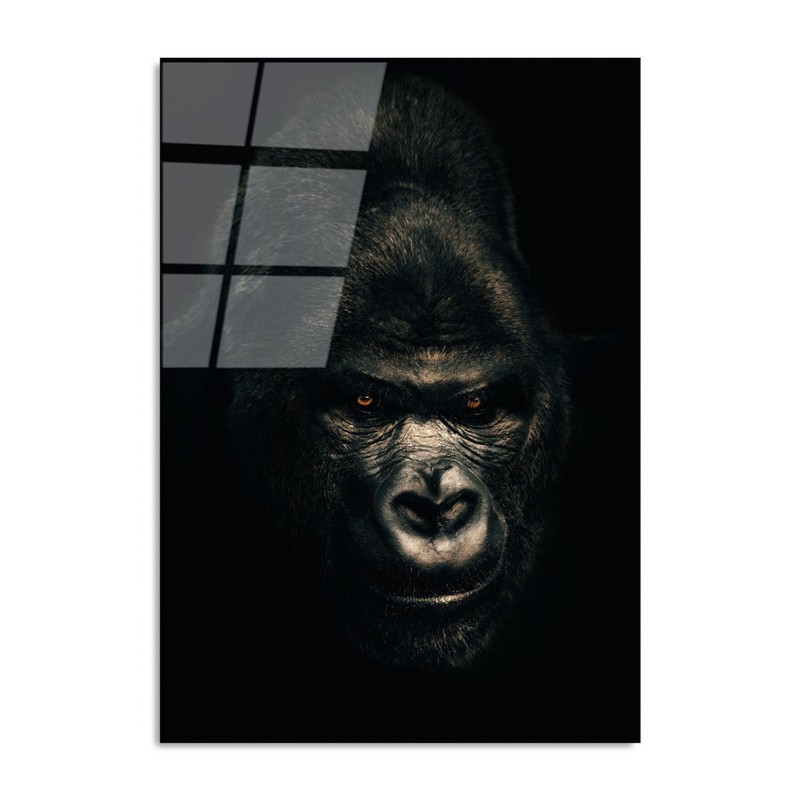 Gorilla Karanlik Portre Cam Tablo - Siyah