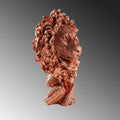 Aslan Basi Polyester Heykel - Bakir