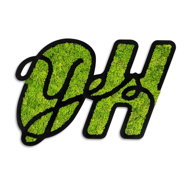 OH Yazili Yosun Metal Duvar Panosu - Yesil
