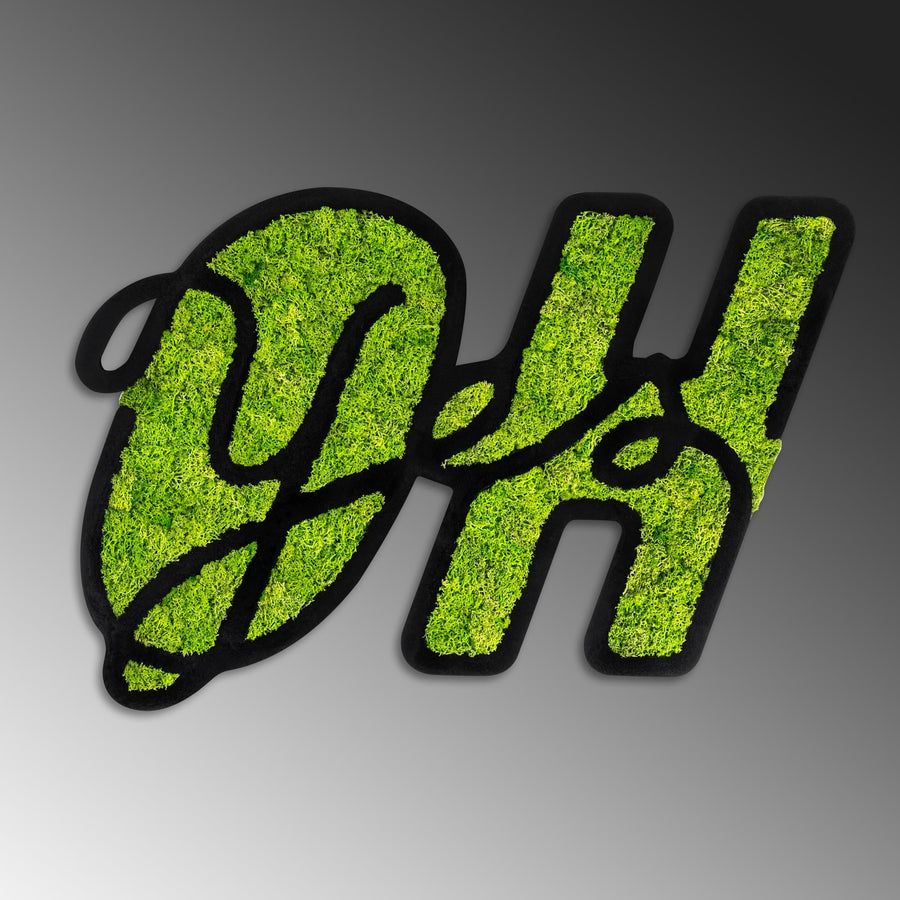 OH Yazili Yosun Metal Duvar Panosu - Yesil